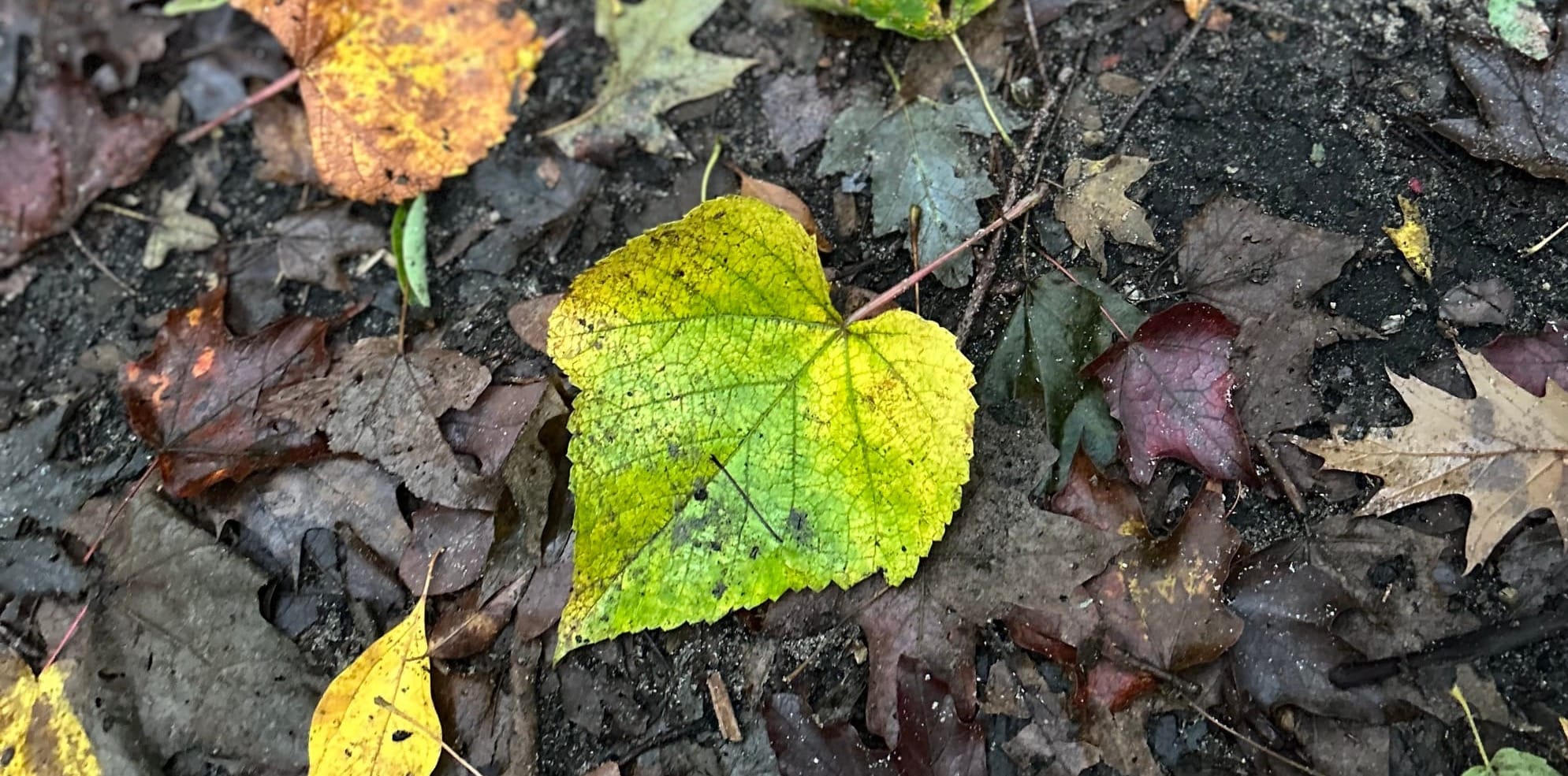 Class & Events Calendar