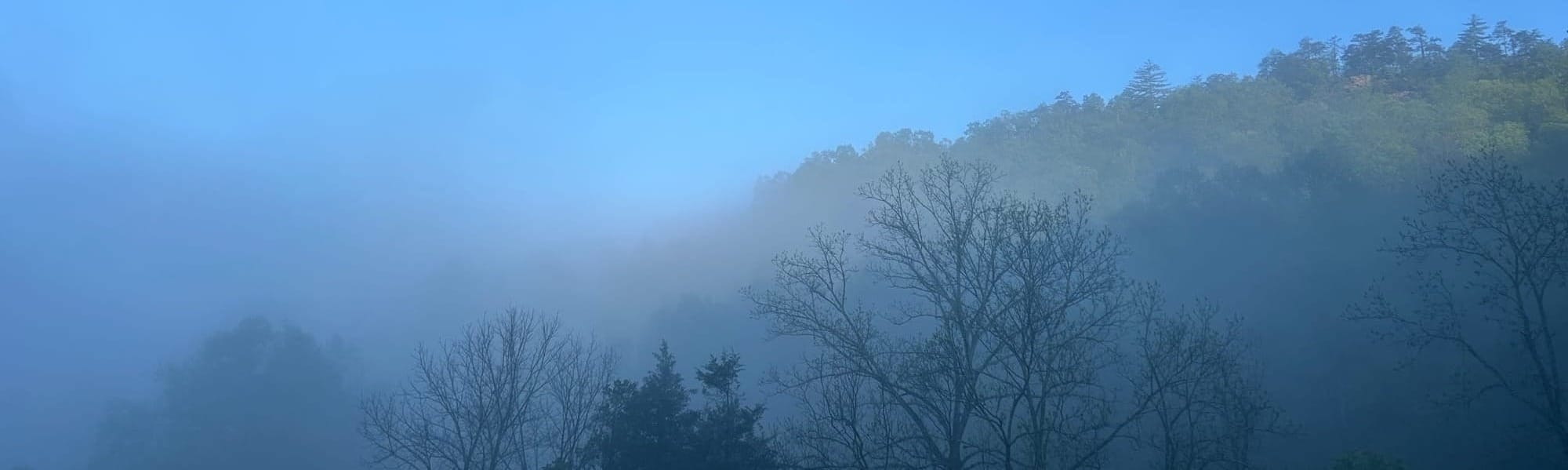 TEAM Approach: Trauma Empowered & Aware Modalities