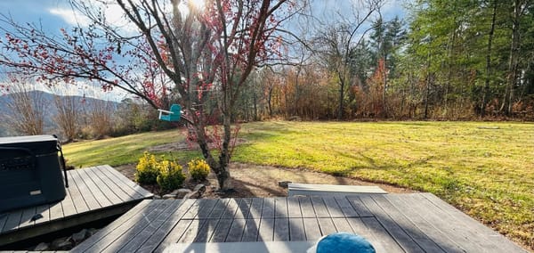 Saturday Breathwork, Somatic Practices for Relationships & Living