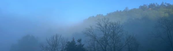 TEAM Approach: Trauma Empowered & Aware Modalities